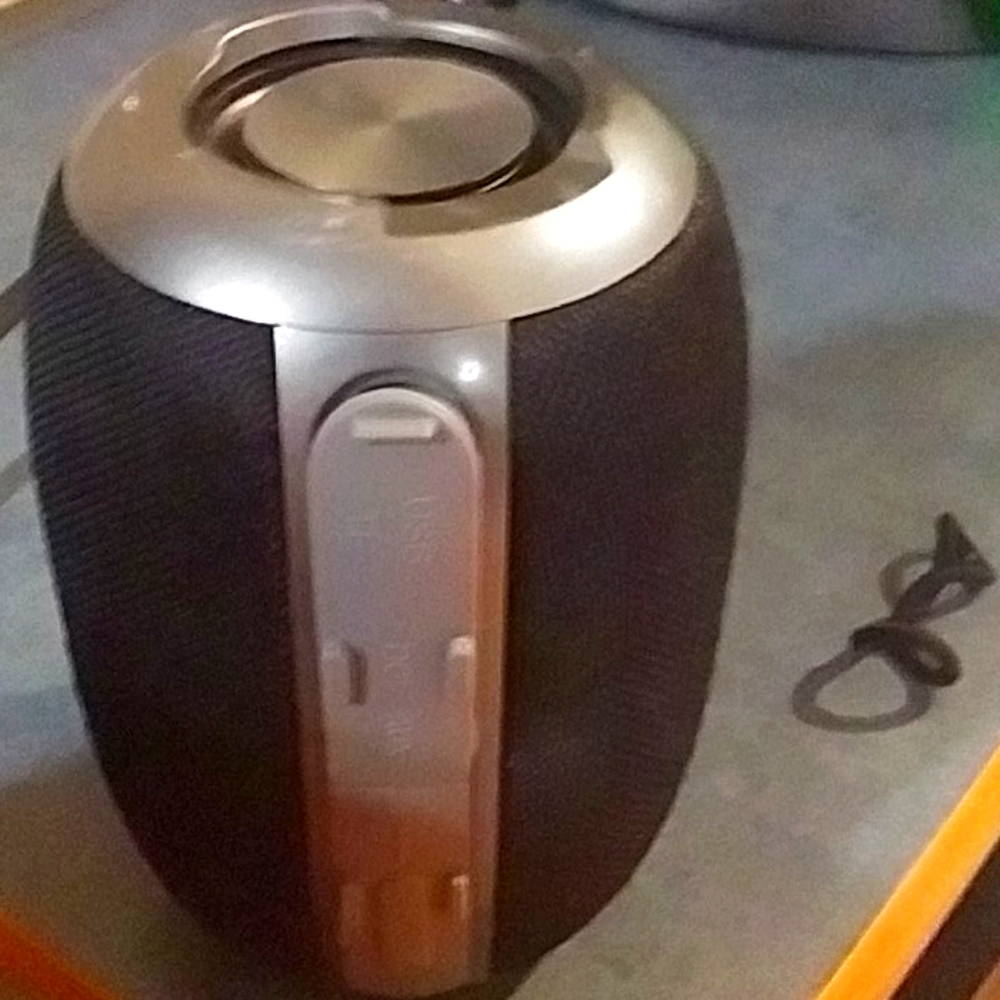 Speaker